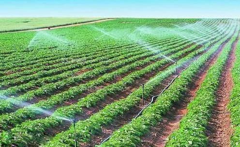 日你的骚B视频黄农田高 效节水灌溉